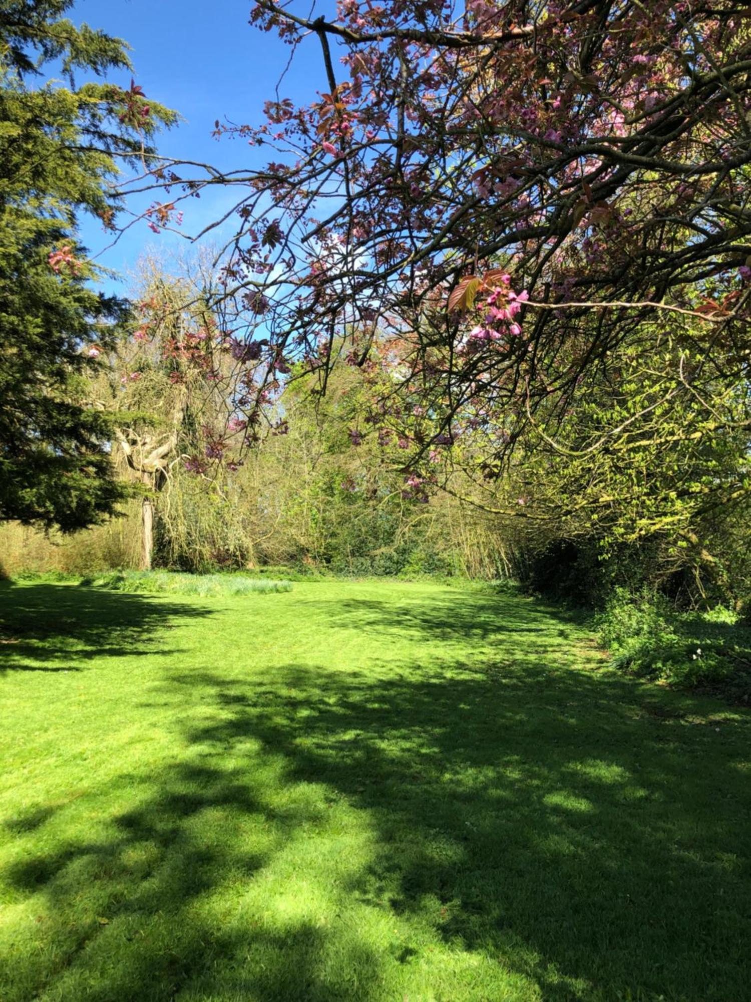 Вилла Springwood - Royal Хиллсборо Экстерьер фото